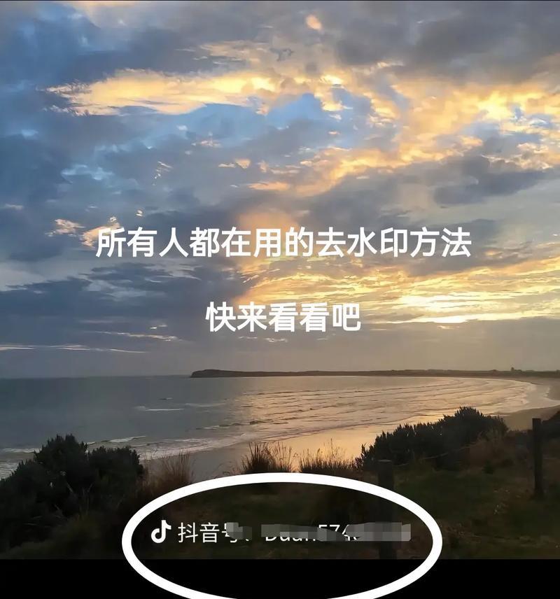 以图片去水印的软件——轻松消除烦人的水印！（无损去除水印，还原纯净原图，尽在这款神奇软件！）