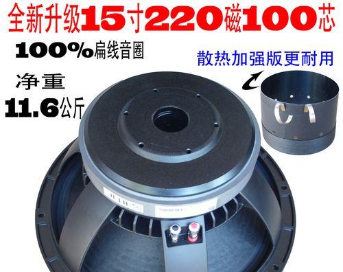 全面解析253磁低音喇叭的声音魅力（探寻253磁低音喇叭的卓越品质与技术创新）