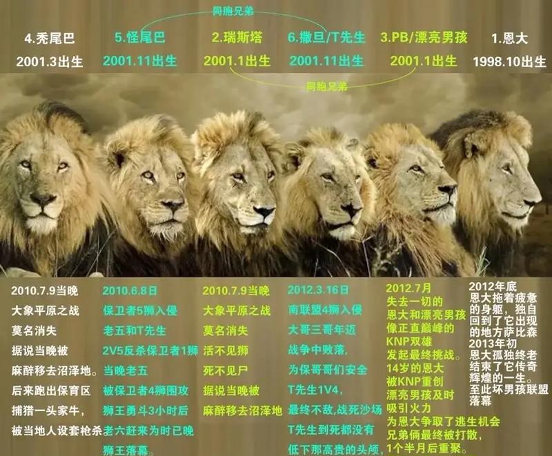 坏男孩的吸引力（探索坏男孩的魅力与危险）