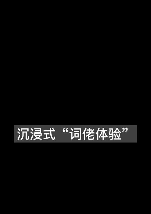 ACE电脑端使用教程（轻松掌握ACE电脑端的功能和技巧）