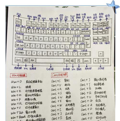 电脑表格字体排版教程（学习如何正确运用字体、大小和样式，使表格文档更加专业化和易读）